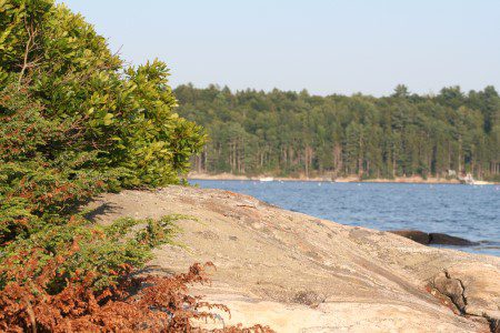 Rocky Shoreline